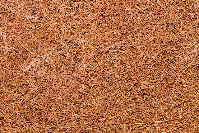 coir